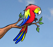Illustration for Animails newsletter